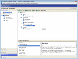 Domains allow you to represent your organizational structure