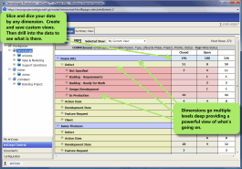 Pivot view allows you to slice and dice your data