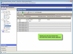 Fast, flexible time sheet approval interface